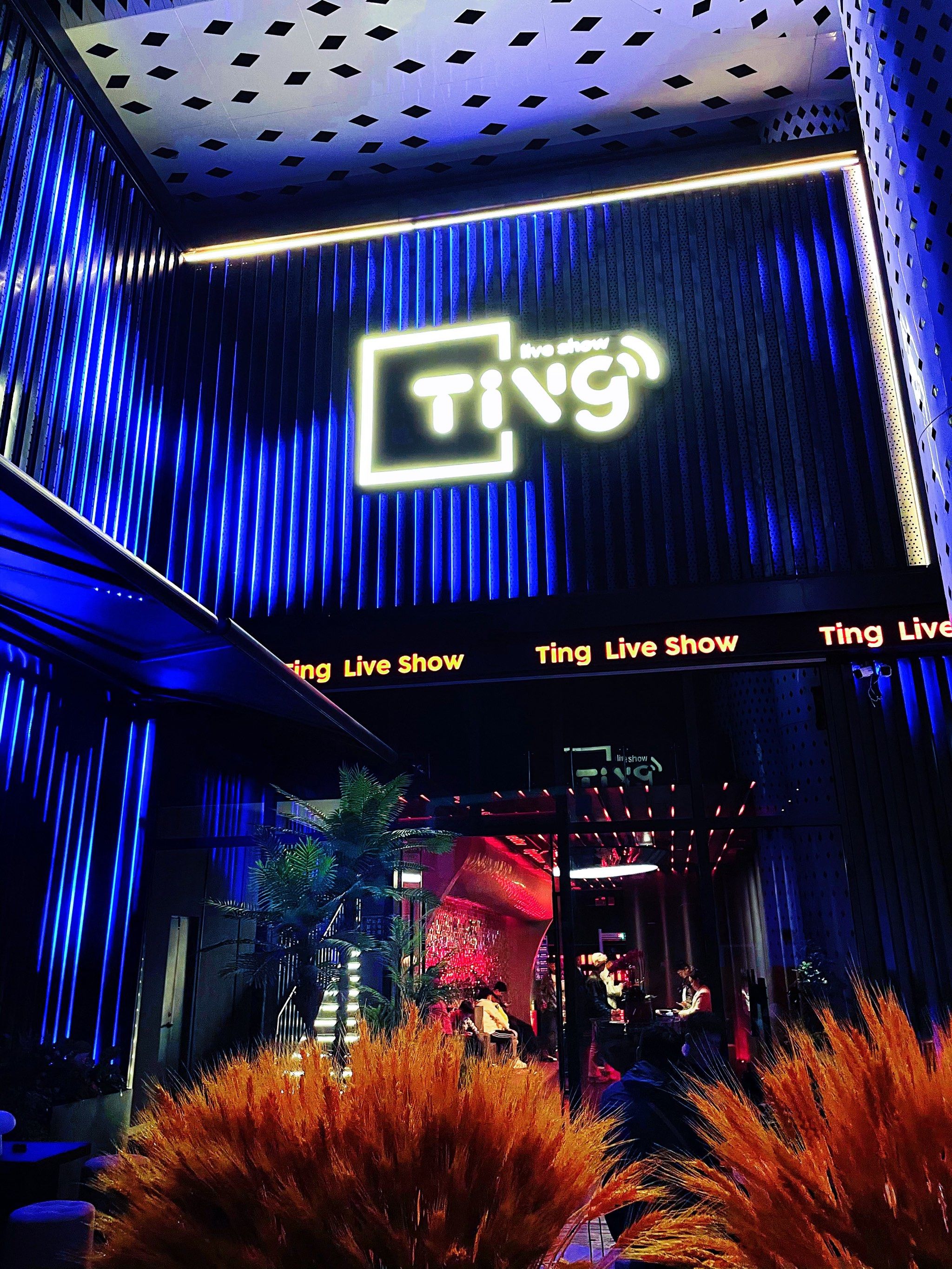 南阳商务ktv低端场氛围toString-卧龙区ktv预订